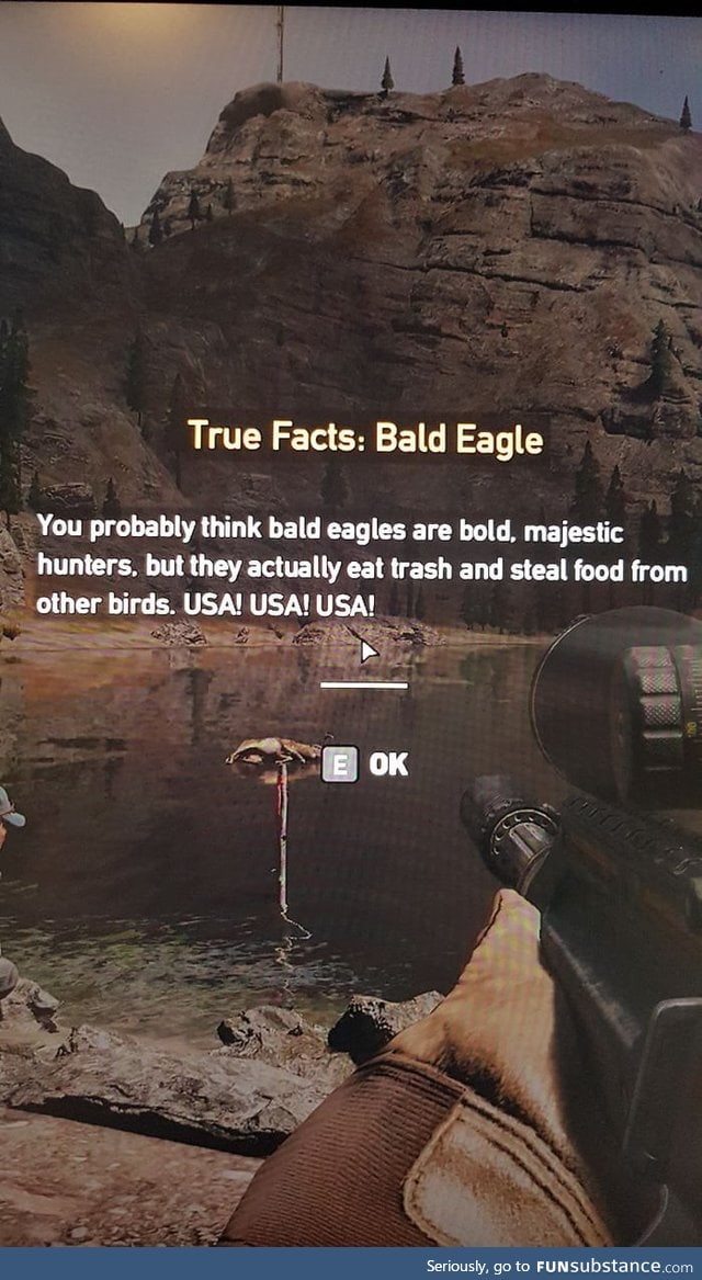 Far Cry telling it as it is