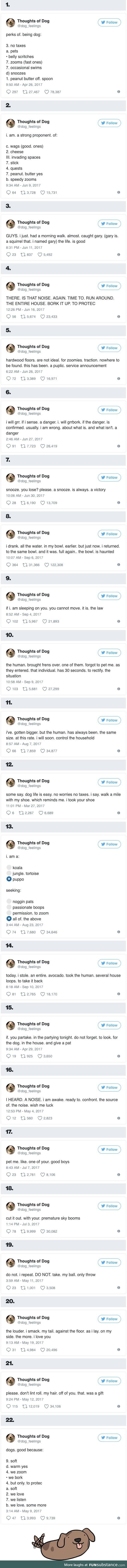 Thoughts of Dog