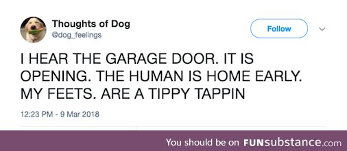 Thoughts of Dog are Tippy tappin