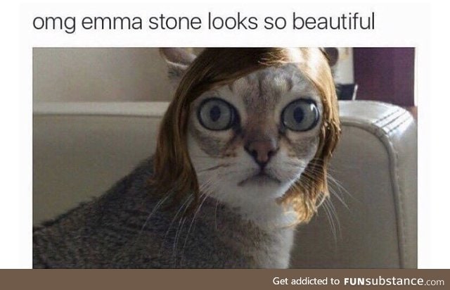 “Emma Stone looks like she smells like cat piss”