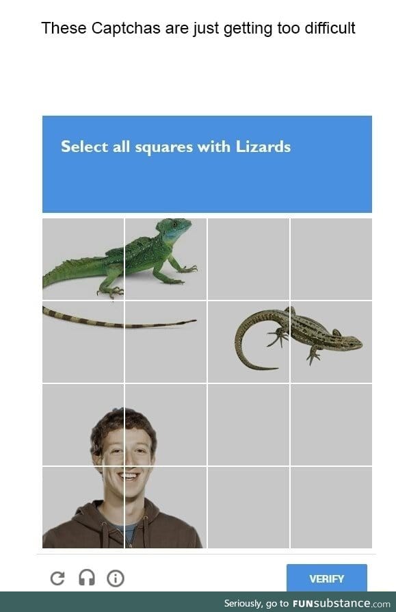 Select all squares with lizards