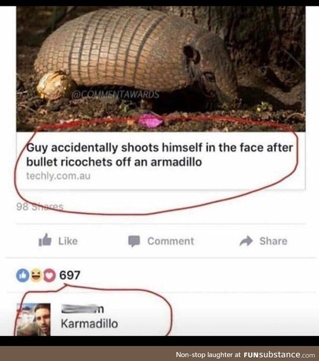 Karmadillo