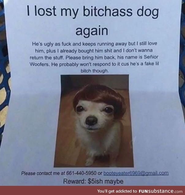 Best lost dog ad ever?