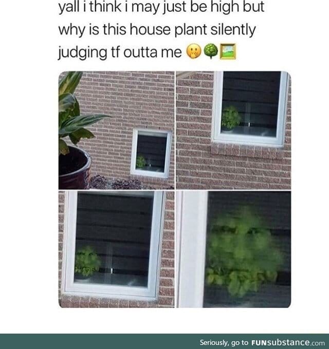 That plant be livin