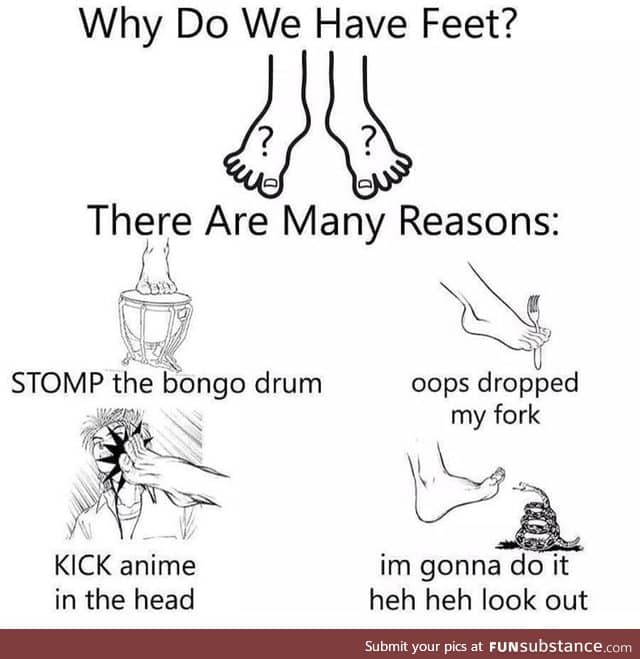 Why we have feet