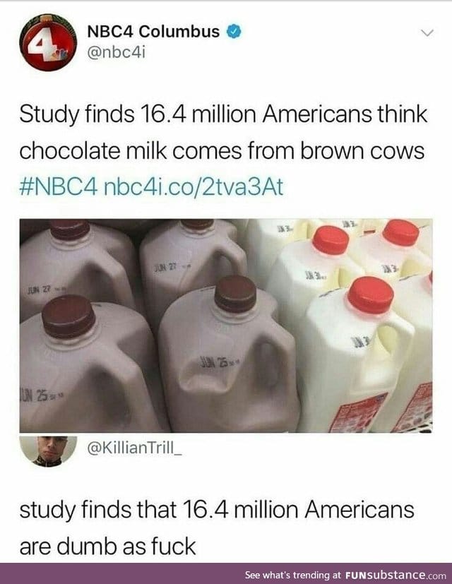 Brown cows are made of chocolate