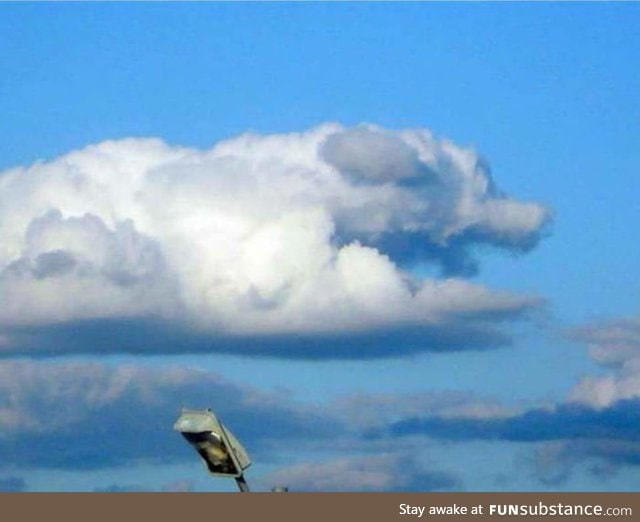 This cloud looks like a good boy
