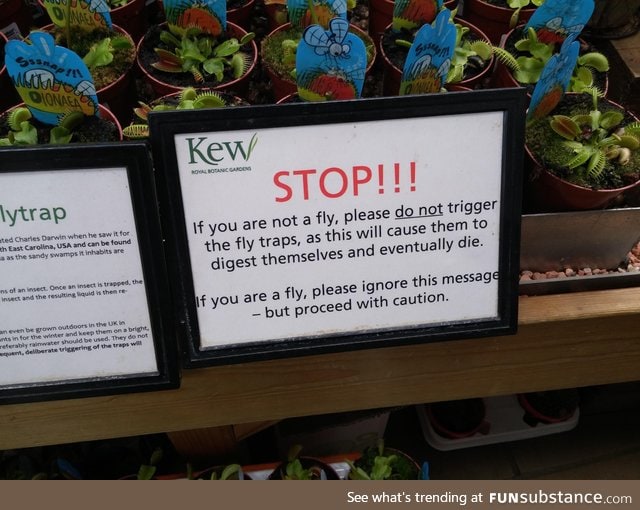 This sign in front of a bunch of Venus Flytrap