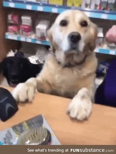 best employee in the store