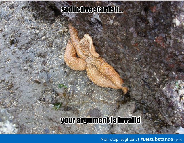 Fabulous starfish