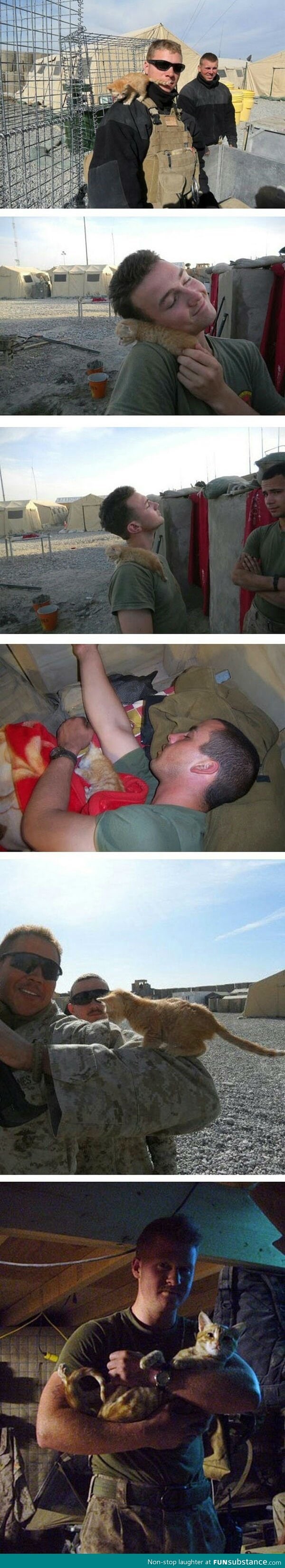 Army men + kittens