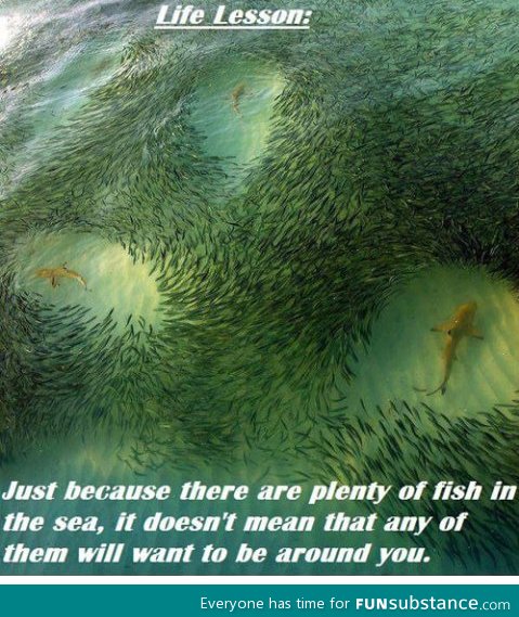 Fish in the sea