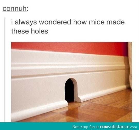 Mice holes