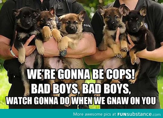 Puppy cops to be
