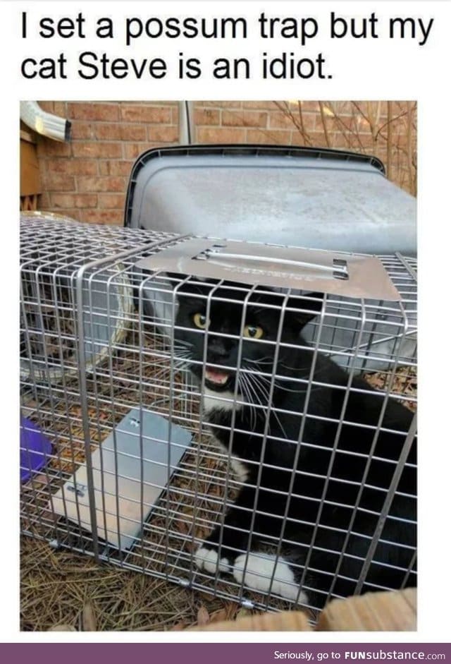 Maybe Steve likes possum traps