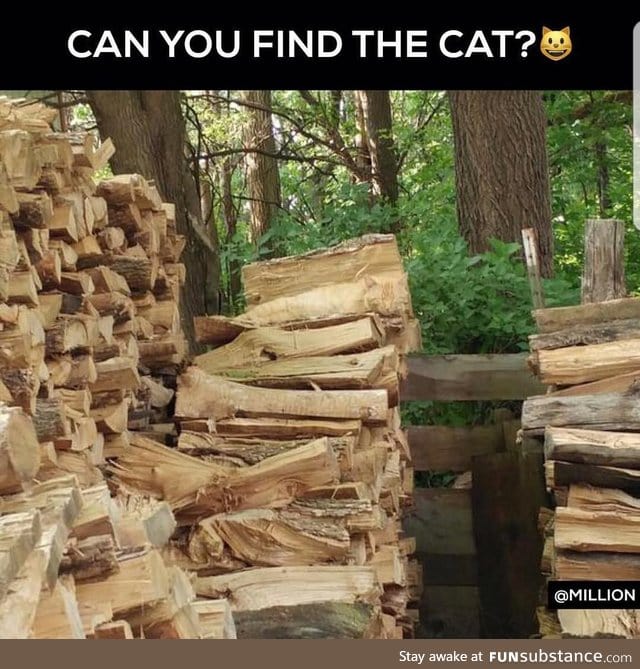 Can you find it?