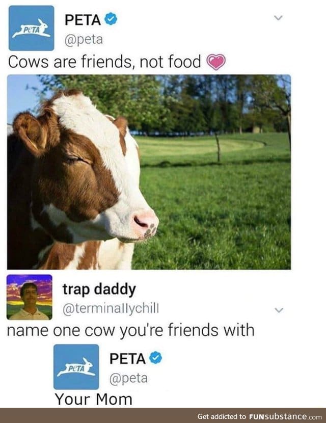 My cow friend
