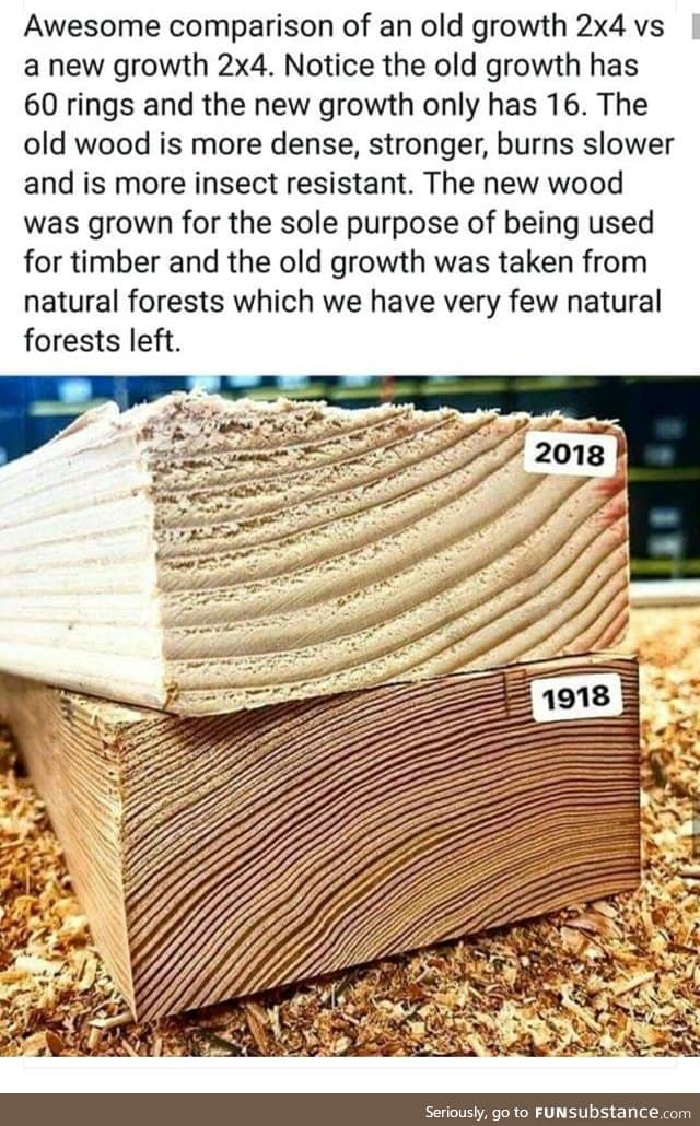 See the difference in growth rate between new and old trees