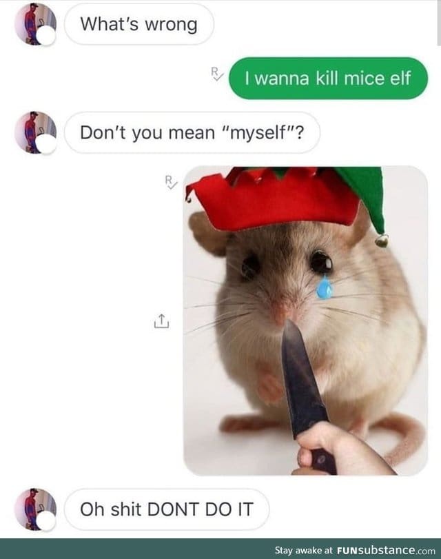 Kill mice elf