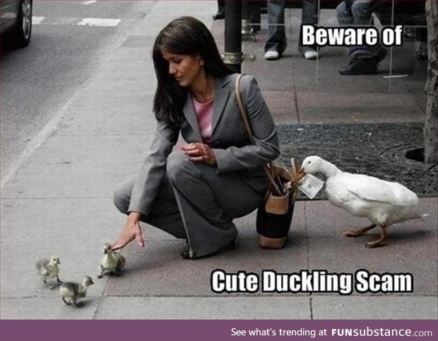 "quack quack, b**ch!"