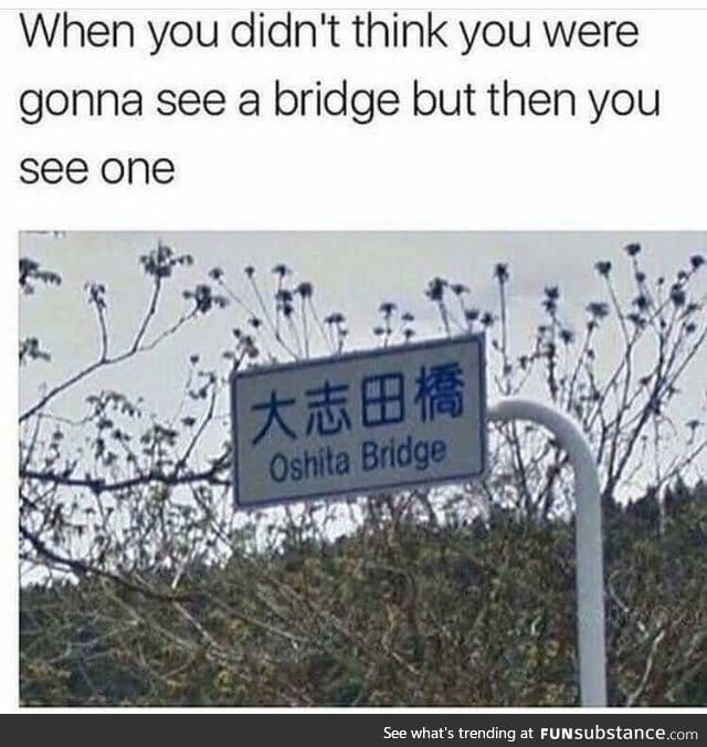 When you see a bridge