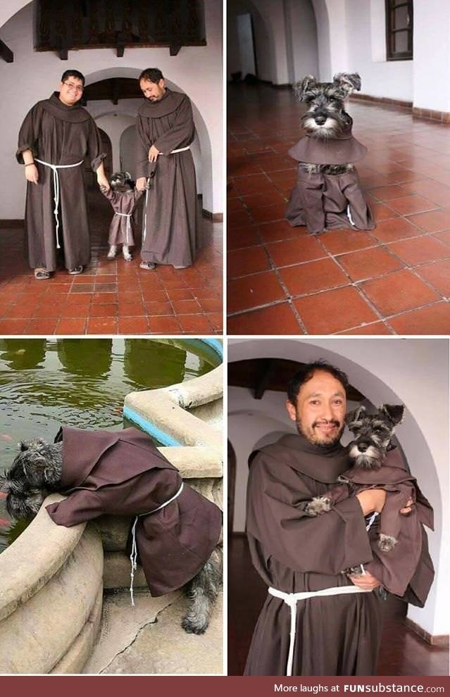 Brazilian monk adopted a dog and made him one of their own