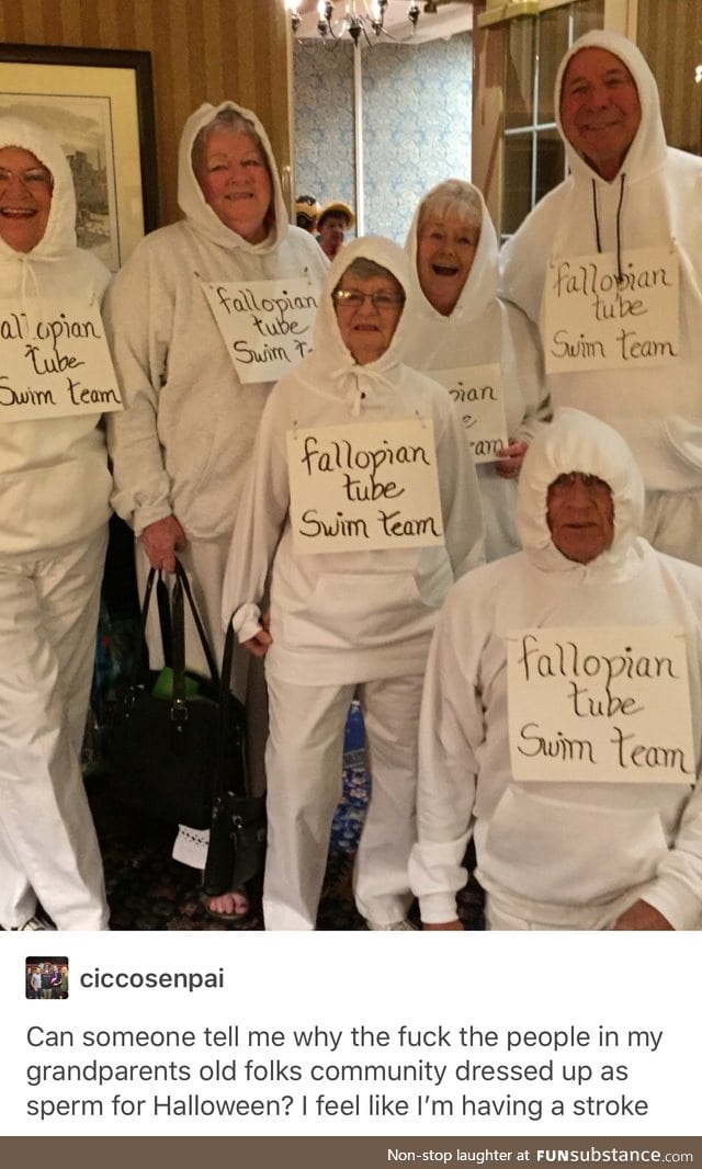 ~fallopian tube swim team ~