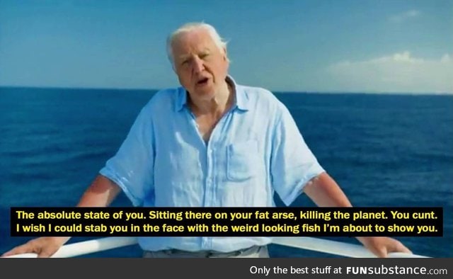David Attenborough and his words