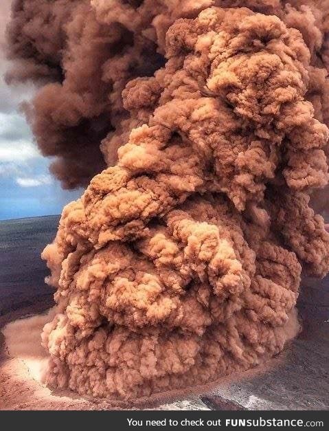 Giant chicken tenders in hawaii right now