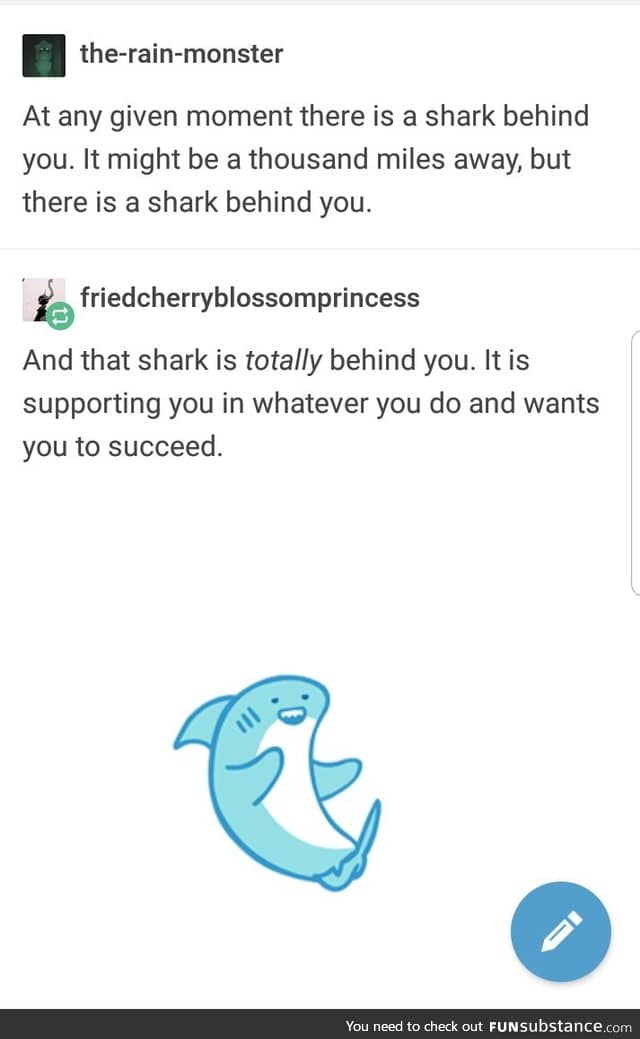 Support shark
