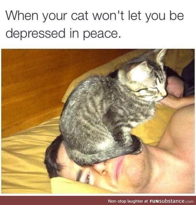 Cat won't let you be Depressed!
