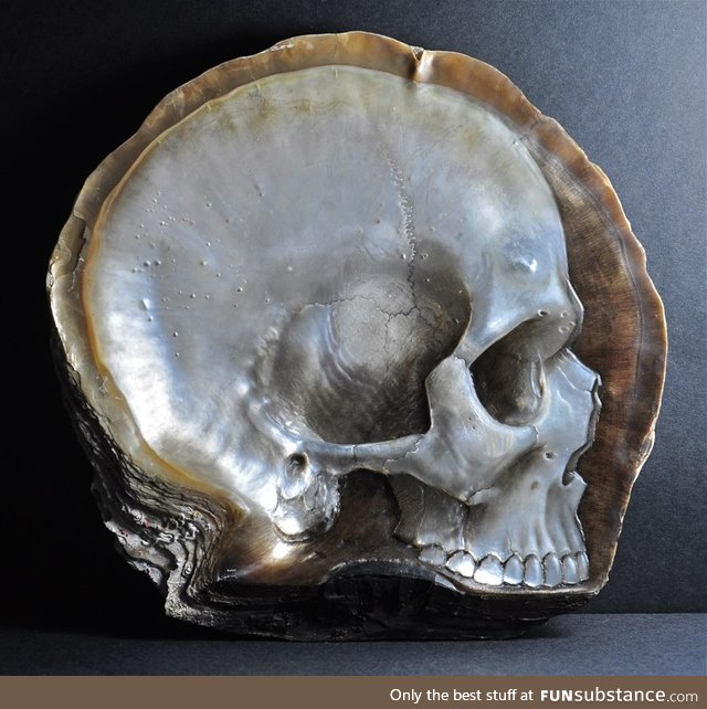 Realistic skulls carved into mother of pearl shells