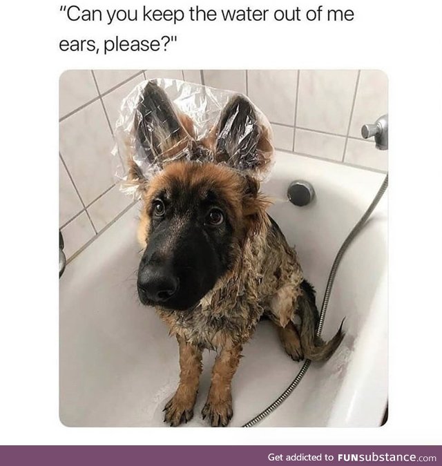 Keep water out of ears