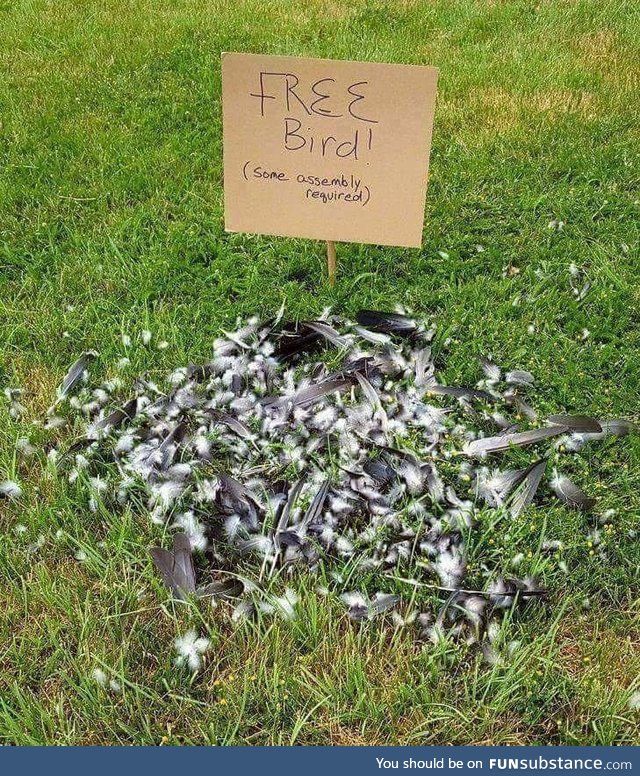 Free bird