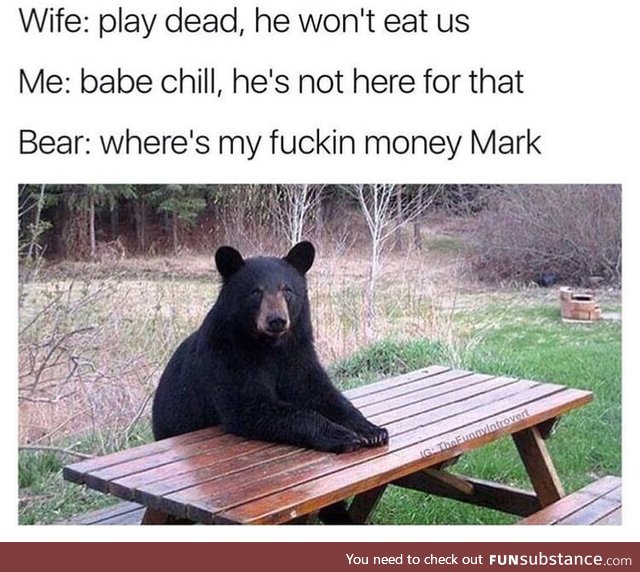 Bear with him on this beary serious situation
