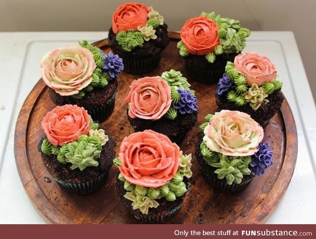 Buttercream succulent cupcakes