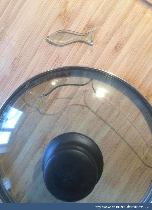 How the Glass Lid Broke in the Shape of a Fish