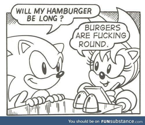 Sonic you idiot
