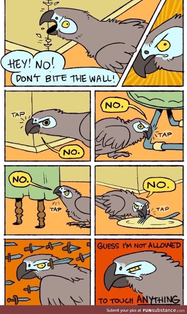 This is exactly how pet birds are