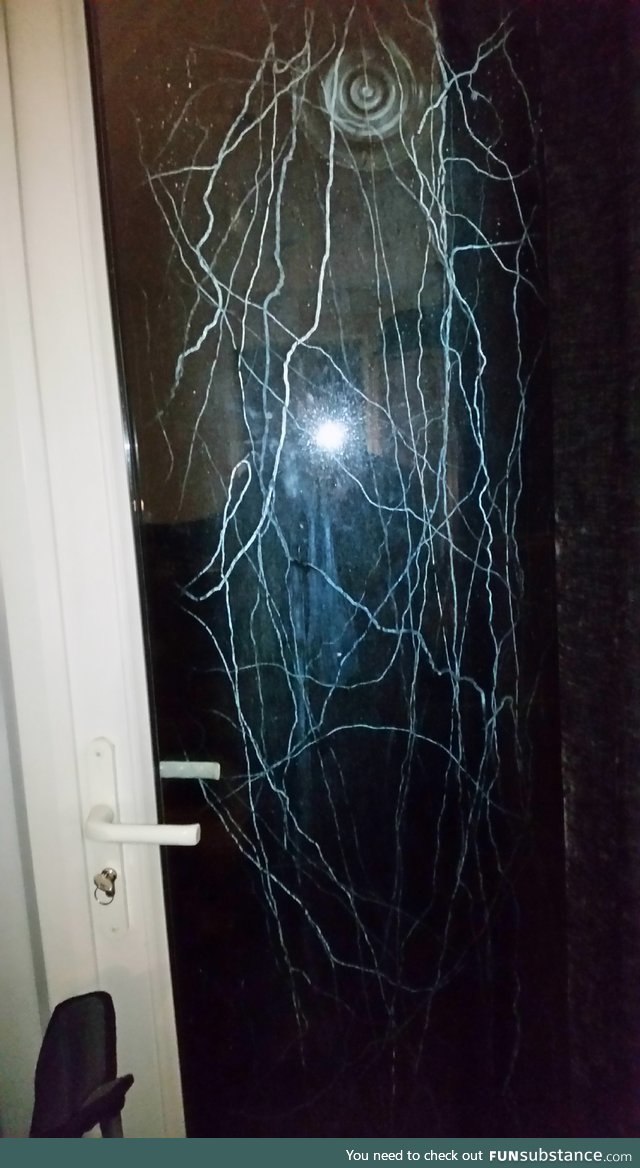 Slug trails all over the patio door