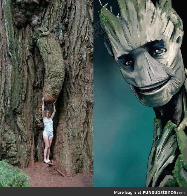 "Touch my groot"