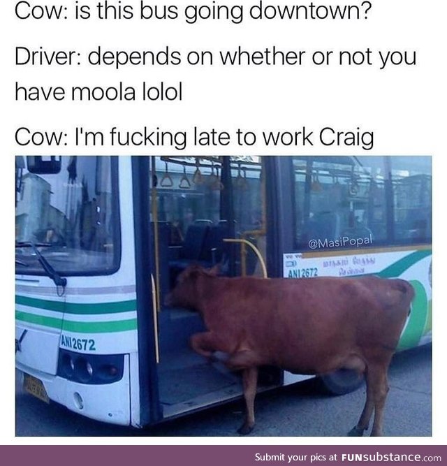 Don’t be an ***, Craig