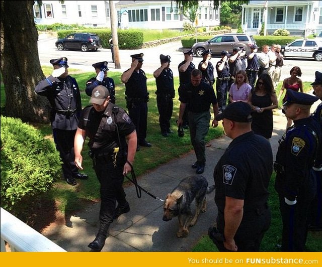 Police bidding farewell to one of their Police dogs before he's put down