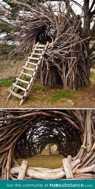 Best tree house