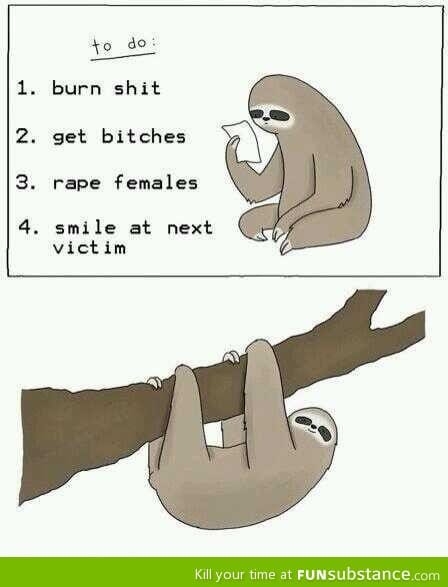 The everyday life of a sloth