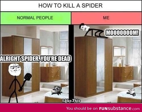 How to kill a spider