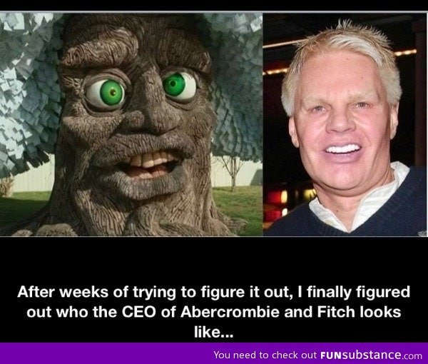 CEO of Abercrombie and Fitch