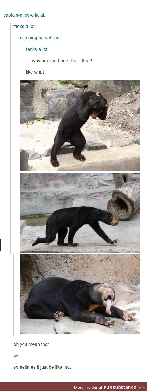 Really, who are we to judge. (Why are Sun Bears like that)