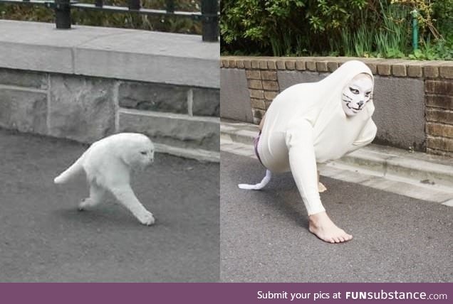 Someone made a costume of the creepy google street view half cat