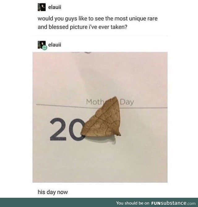 It's his day, now. (Moth Day)